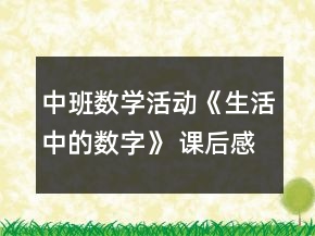 中班數(shù)學(xué)活動(dòng)《生活中的數(shù)字》 課后感悟反思與教案修改