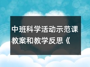 中班科學(xué)活動示范課教案和教學(xué)反思《摸摸有什么感覺》