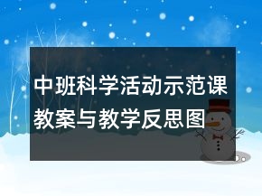 中班科學(xué)活動(dòng)示范課教案與教學(xué)反思：圖形的分類