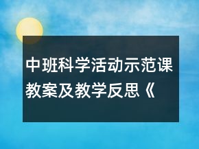 中班科學(xué)活動(dòng)示范課教案及教學(xué)反思《長(zhǎng)長(zhǎng)的面條》