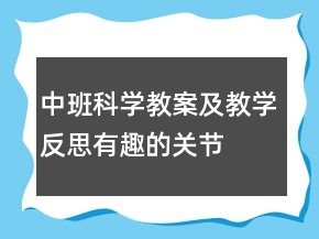 中班科學教案及教學反思：有趣的關(guān)節(jié)