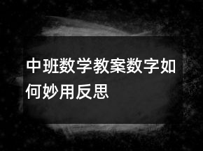 中班數(shù)學(xué)教案：數(shù)字如何妙用反思