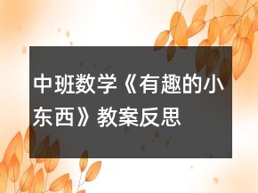中班數(shù)學(xué)《有趣的小東西》教案反思
