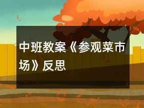 中班教案《參觀菜市場》反思