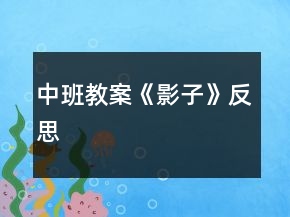 中班教案《影子》反思