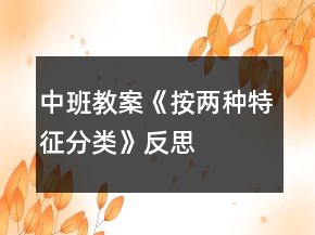 中班教案《按兩種特征分類》反思