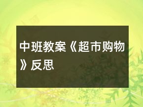 中班教案《超市購物》反思