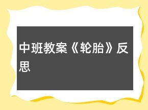 中班教案《輪胎》反思
