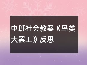 中班社會教案《鳥類大罷工》反思