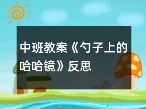中班教案《勺子上的哈哈鏡》反思