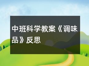 中班科學教案《調(diào)味品》反思