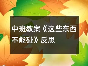 中班教案《這些東西不能碰》反思
