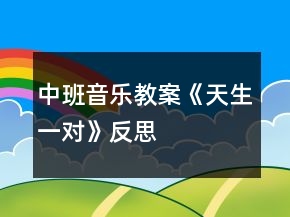 中班音樂教案《天生一對》反思
