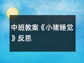 中班教案《小豬睡覺》反思