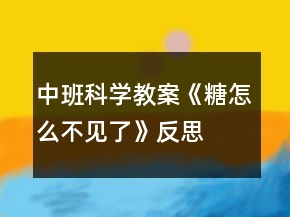 中班科學(xué)教案《糖怎么不見了》反思