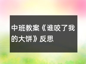中班教案《誰咬了我的大餅》反思