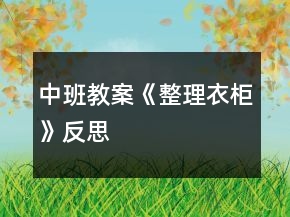 中班教案《整理衣柜》反思