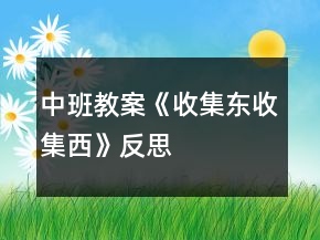 中班教案《收集東收集西》反思