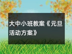 大中小班教案《元旦活動方案》