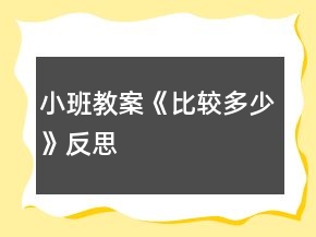 小班教案《比較多少》反思