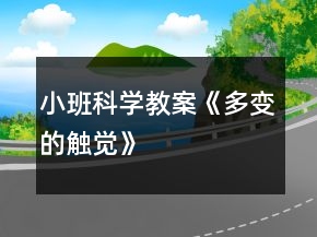 小班科學(xué)教案《多變的觸覺(jué)》