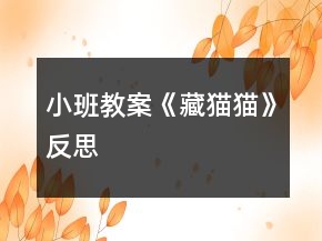 小班教案《藏貓貓》反思