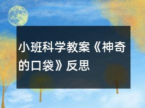 小班科學(xué)教案《神奇的口袋》反思