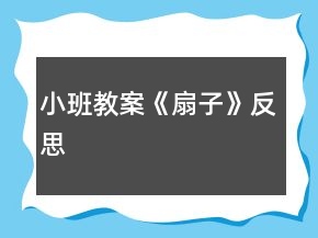小班教案《扇子》反思