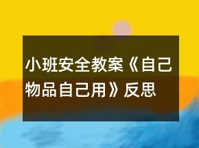 小班安全教案《自己物品自己用》反思