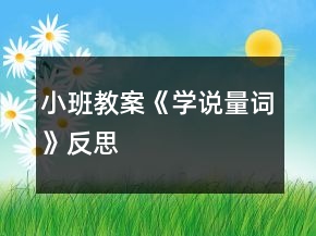 小班教案《學(xué)說(shuō)量詞》反思