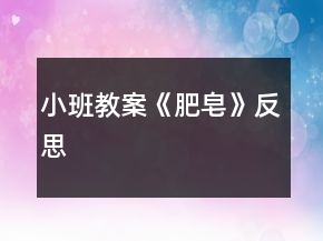 小班教案《肥皂》反思