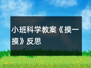 小班科學(xué)教案《摸一摸》反思