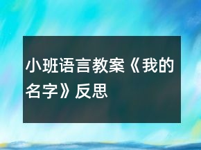 小班語言教案《我的名字》反思
