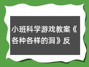 小班科學(xué)游戲教案《各種各樣的洞》反思