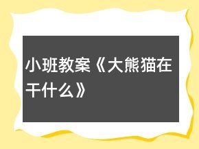 小班教案《大熊貓在干什么》