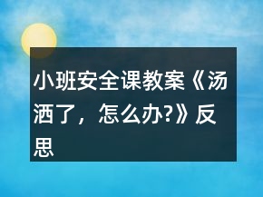 小班安全課教案《湯灑了，怎么辦?》反思