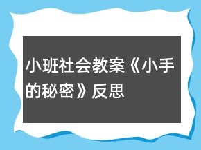 小班社會教案《小手的秘密》反思