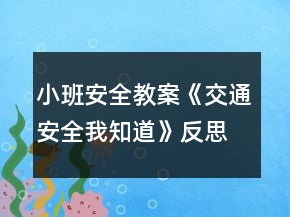 小班安全教案《交通安全我知道》反思