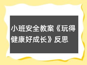 小班安全教案《玩得健康好成長》反思