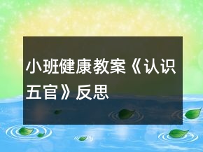 小班健康教案《認(rèn)識五官》反思