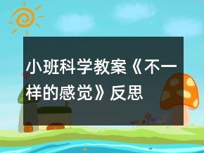 小班科學(xué)教案《不一樣的感覺》反思