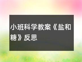 小班科學(xué)教案《鹽和糖》反思