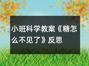 小班科學教案《糖怎么不見了》反思