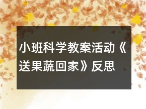 小班科學(xué)教案活動(dòng)《送果蔬回家》反思