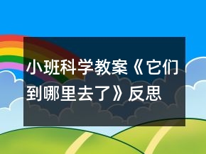 小班科學(xué)教案《它們到哪里去了》反思