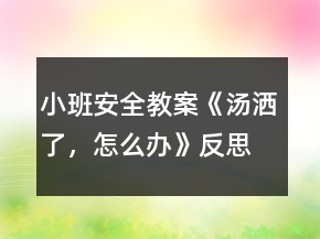 小班安全教案《湯灑了，怎么辦》反思