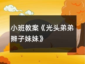 小班教案《光頭弟弟辮子妹妹》