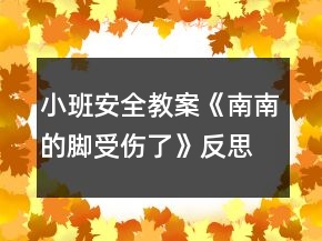 小班安全教案《南南的腳受傷了》反思