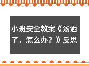 小班安全教案《湯灑了，怎么辦？》反思
