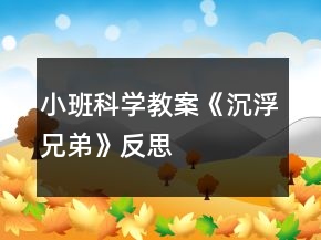 小班科學(xué)教案《沉浮兄弟》反思